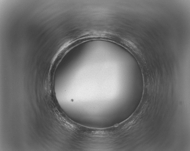 X0000058781172200510071601