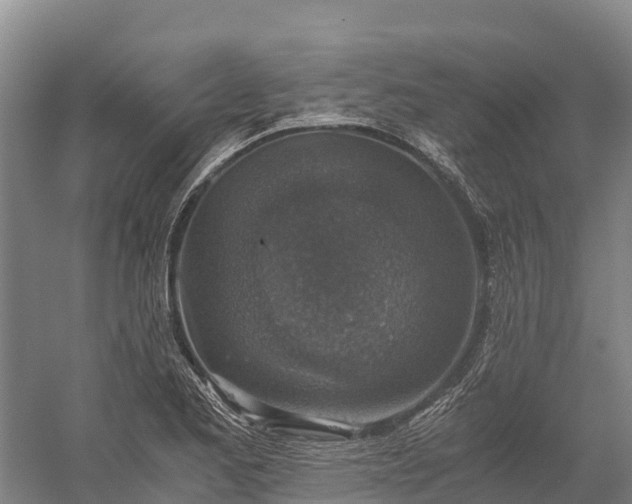 X0000058781173200510071601