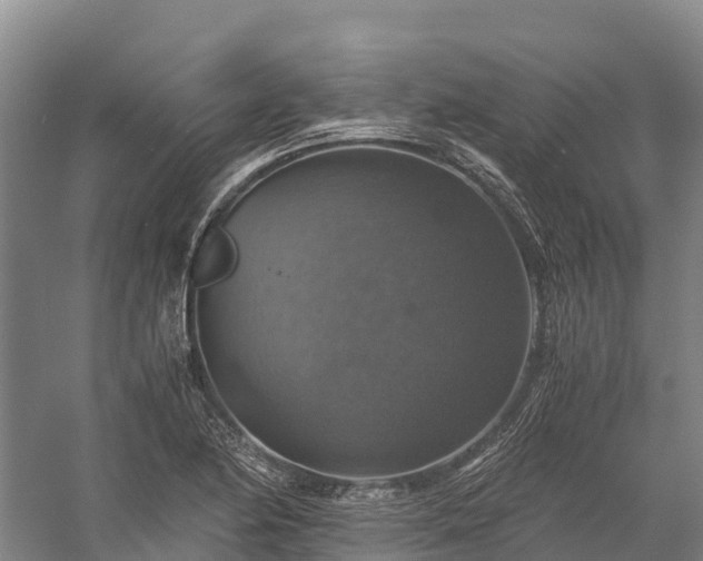 X0000058781174200510071601