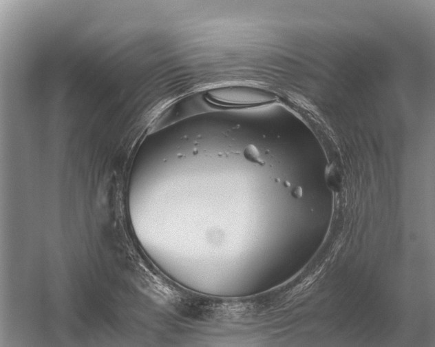 X0000058781177200510071601