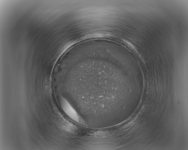 X0000058781178200510071601