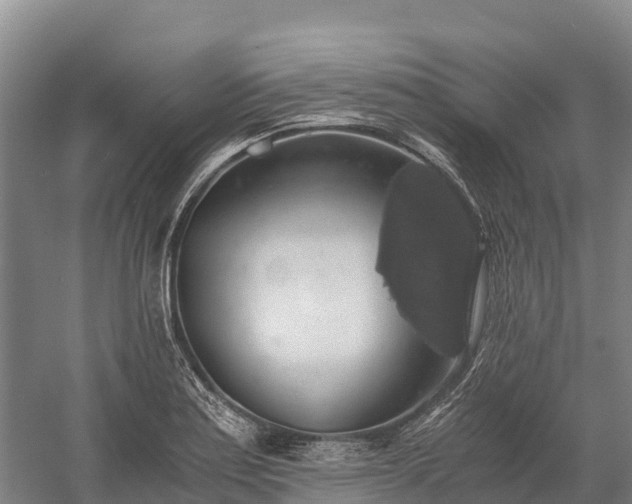 X0000058781179200510071601