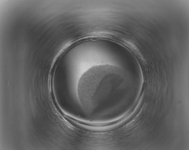 X0000058781180200510071601