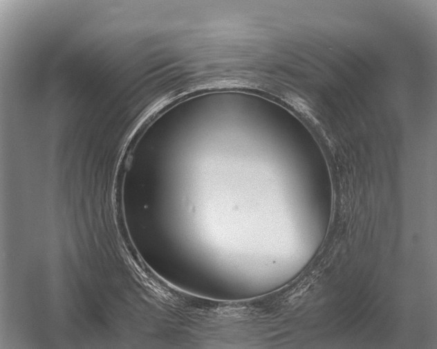 X0000058781181200510071601