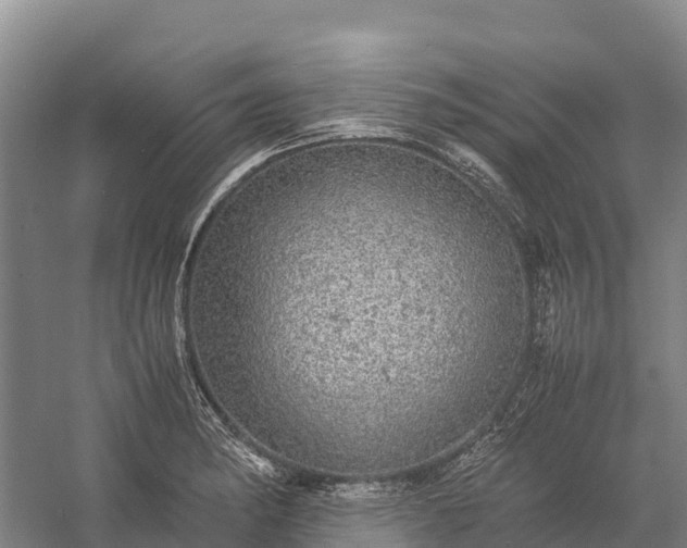 X0000058781182200510071601