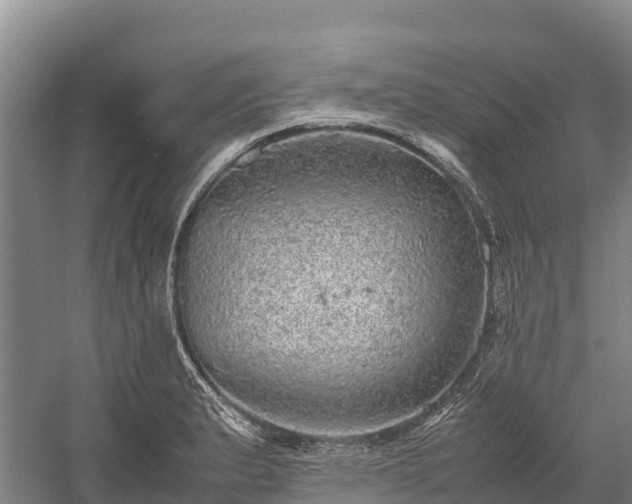 X0000058781183200510071601