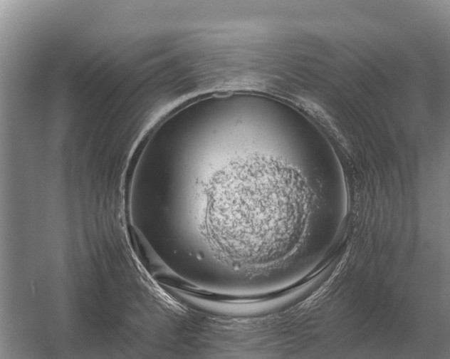 X0000058781184200510071601