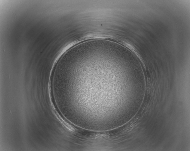 X0000058781187200510071601