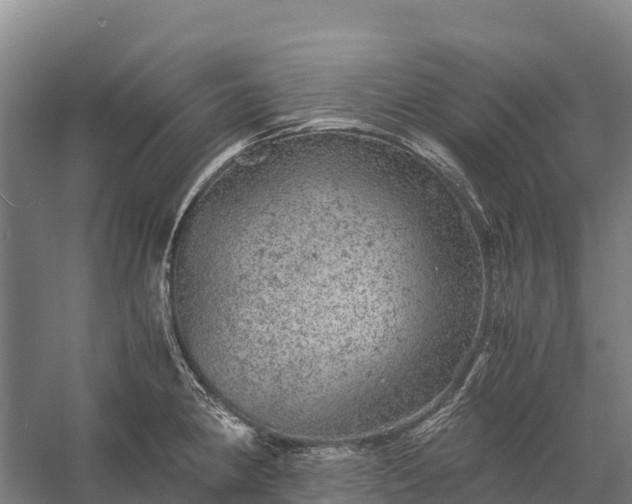 X0000058781190200510071601