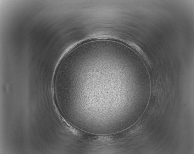 X0000058781191200510071601