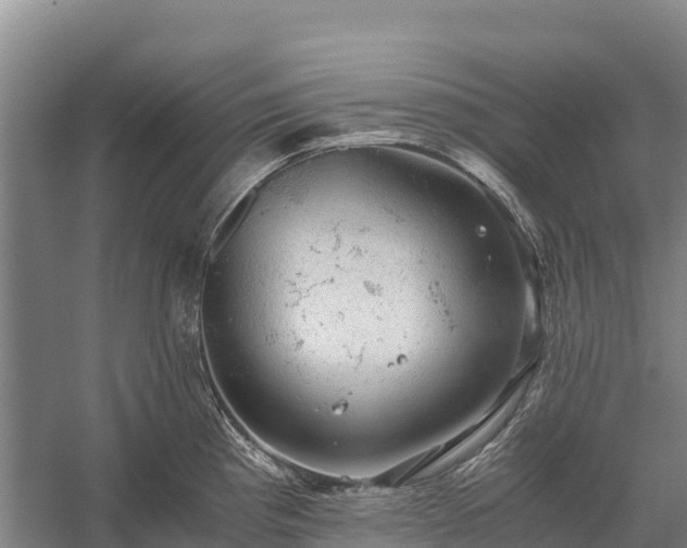 X0000058781193200510071601