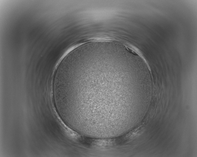 X0000058781195200510071600