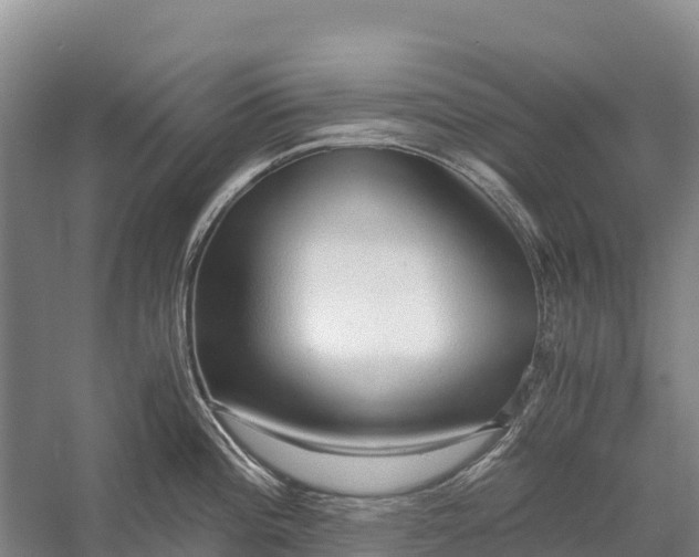 X0000058781196200510071600