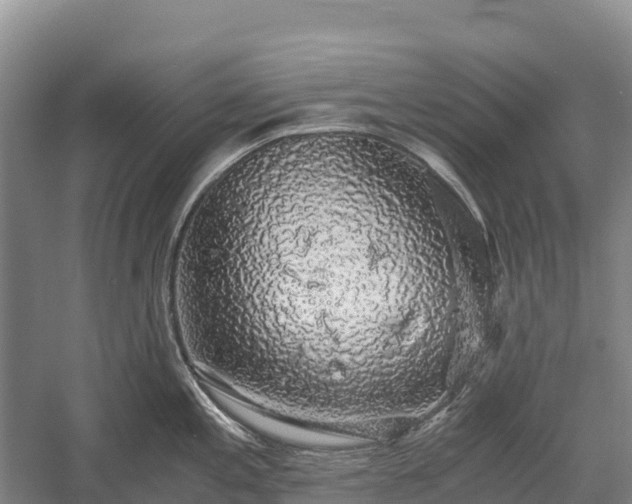 X0000058781197200510071600