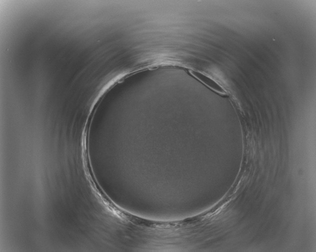 X0000058781198200510071600