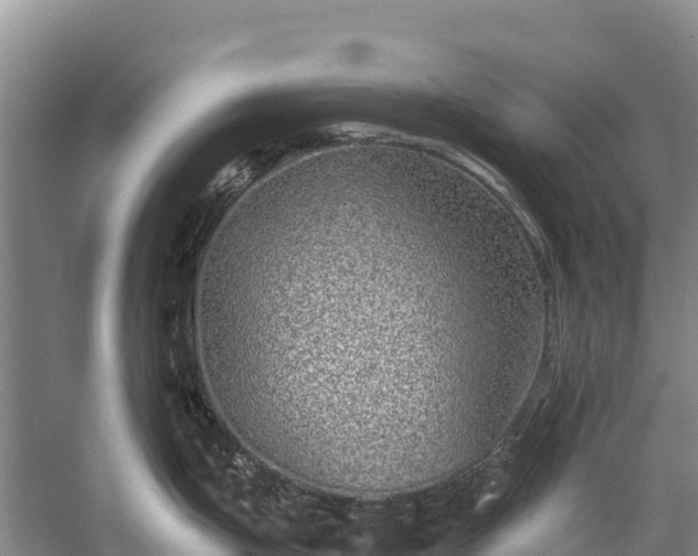 X0000058781199200510071600