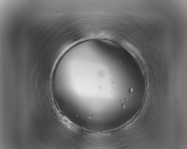 X0000058781200200510071600