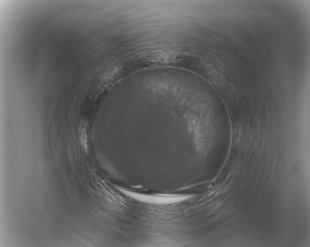 X0000058781202200510071600