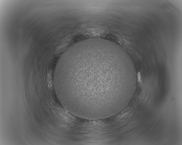 X0000058781203200510071600