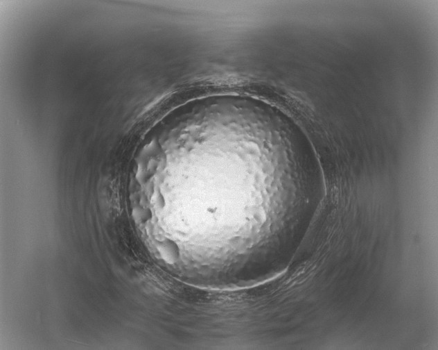 X0000058781205200510071600