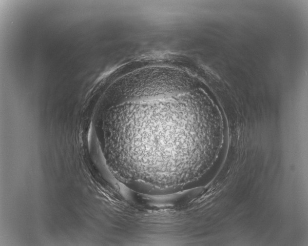 X0000058781206200510071600