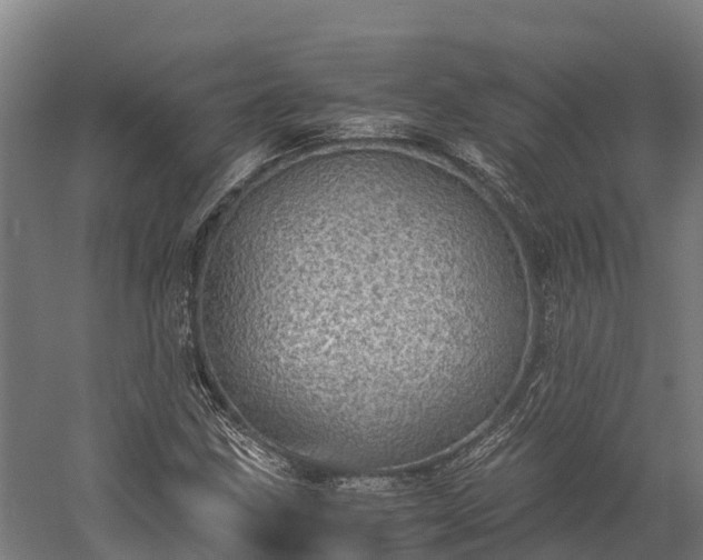 X0000058781211200510071600