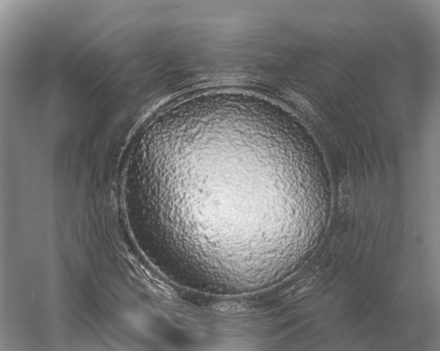 X0000058781212200510071600