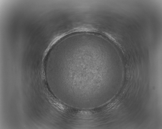 X0000058781215200510071600