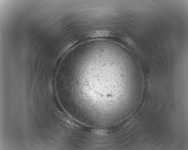 X0000058781217200510071600