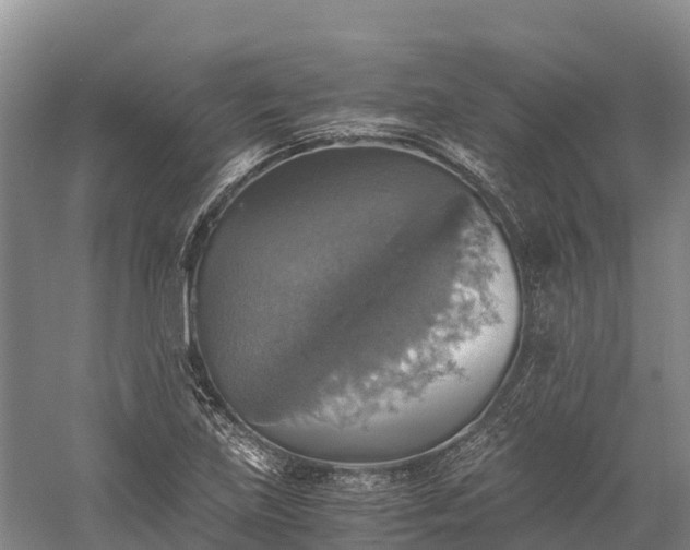 X0000058781219200510071600