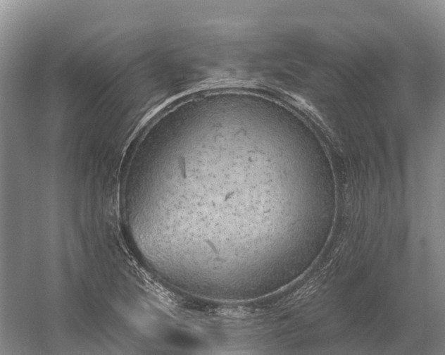 X0000058781220200510071600