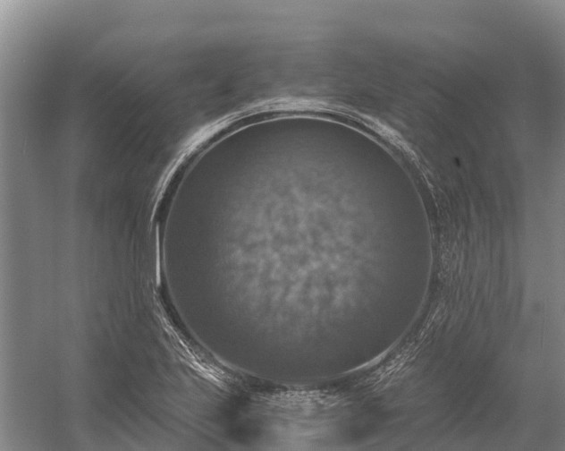 X0000058781223200510071600