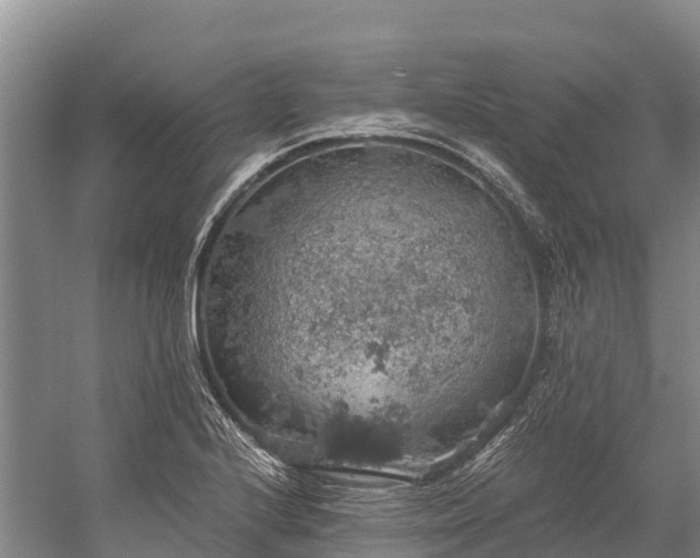 X0000058781224200510071600