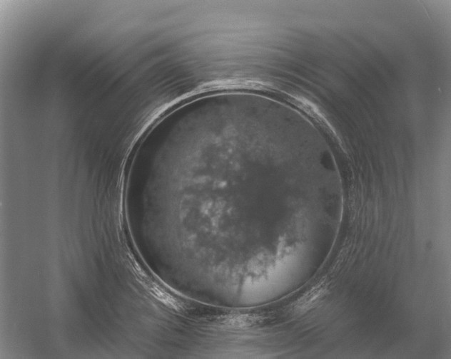 X0000058781228200510071600