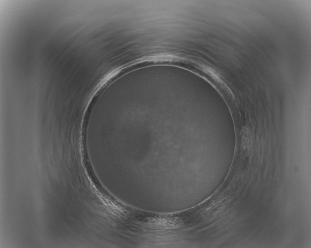 X0000058781229200510071600