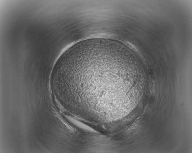 X0000058781230200510071600