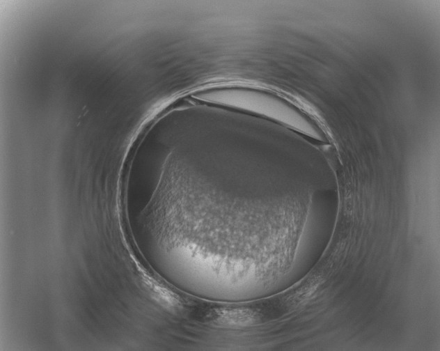 X0000058781231200510071600