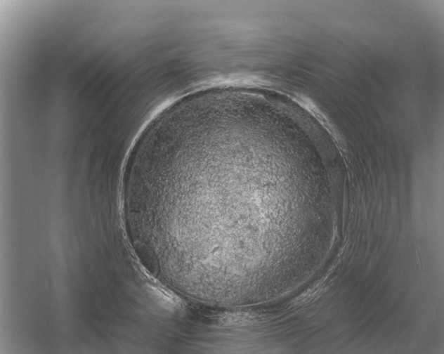 X0000058781232200510071600