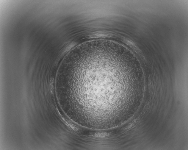 X0000058781233200510071600