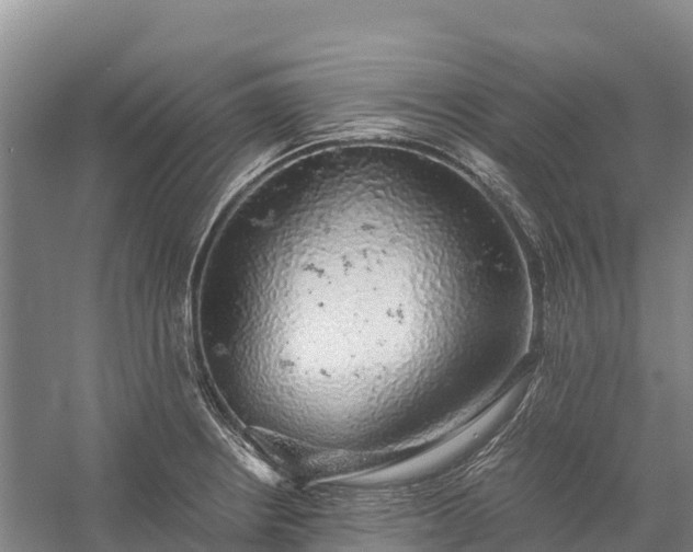 X0000058781234200510071600