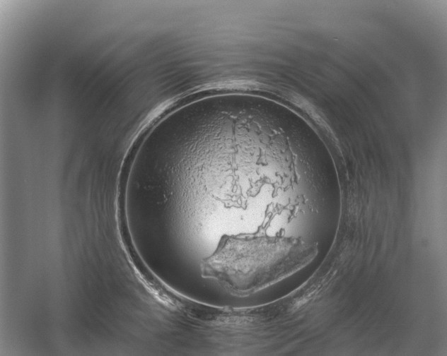 X0000058781237200510071600