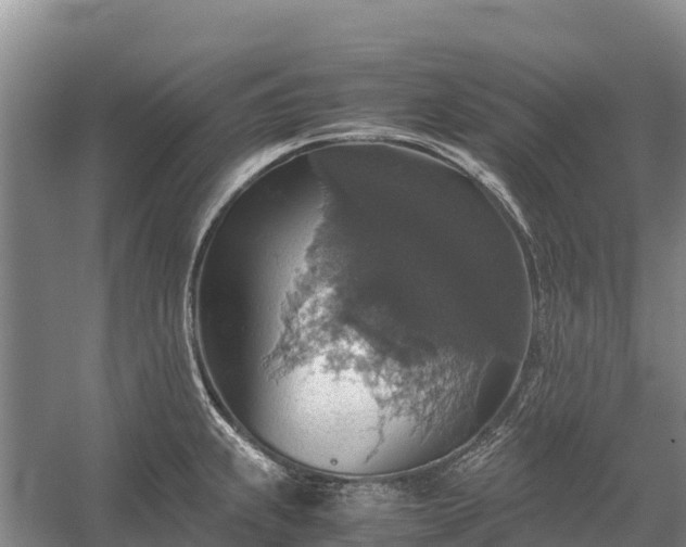 X0000058781239200510071600