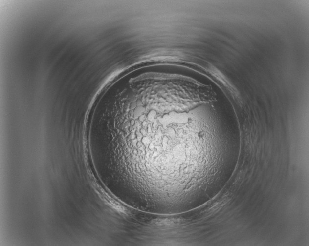 X0000058781240200510071600