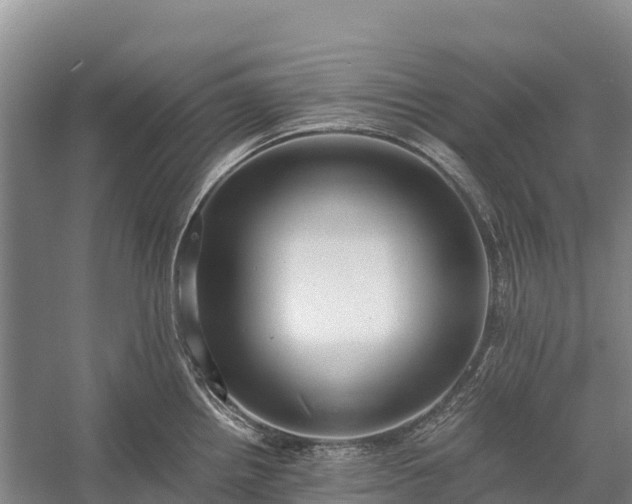 X0000058781242200510071600