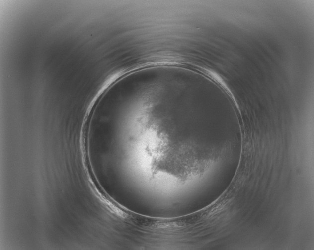 X0000058781243200510071600