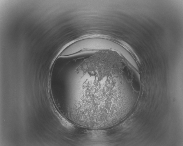 X0000058781244200510071600