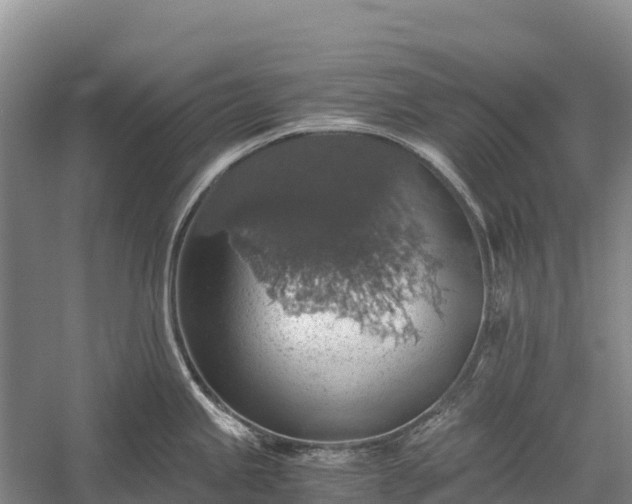 X0000058781245200510071600