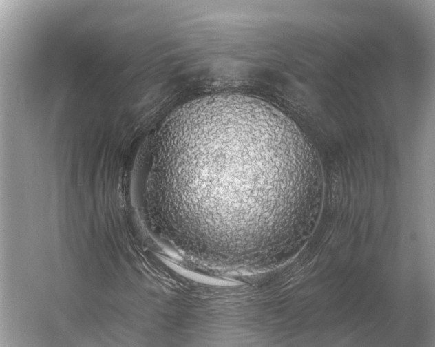 X0000058781250200510071600