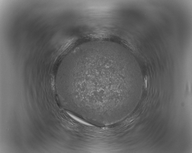 X0000058781251200510071600