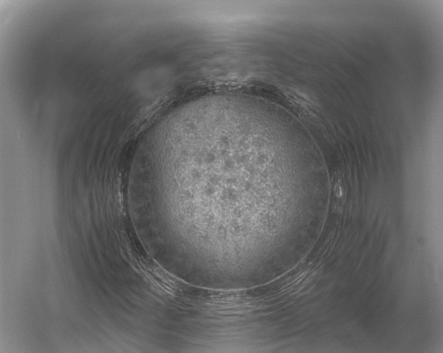 X0000058781252200510071600